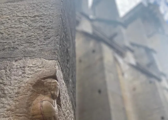 Les Jardins Secrets - Gare & Centre By Apartament